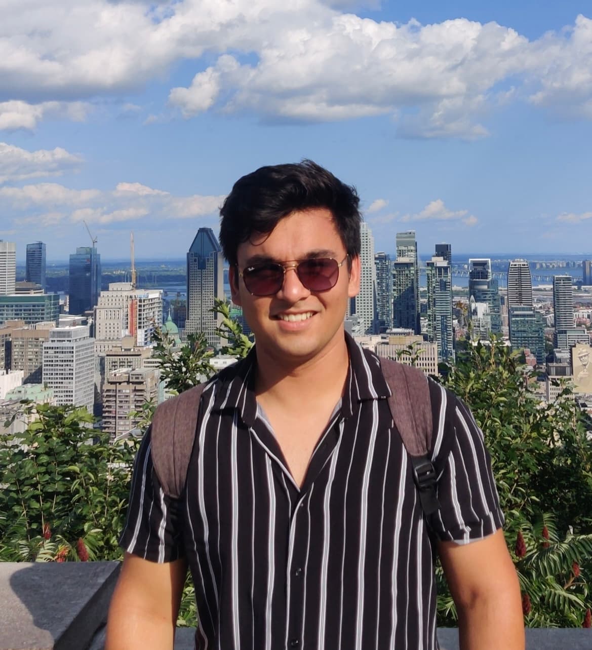 Portrait of Ankit Aggarwal